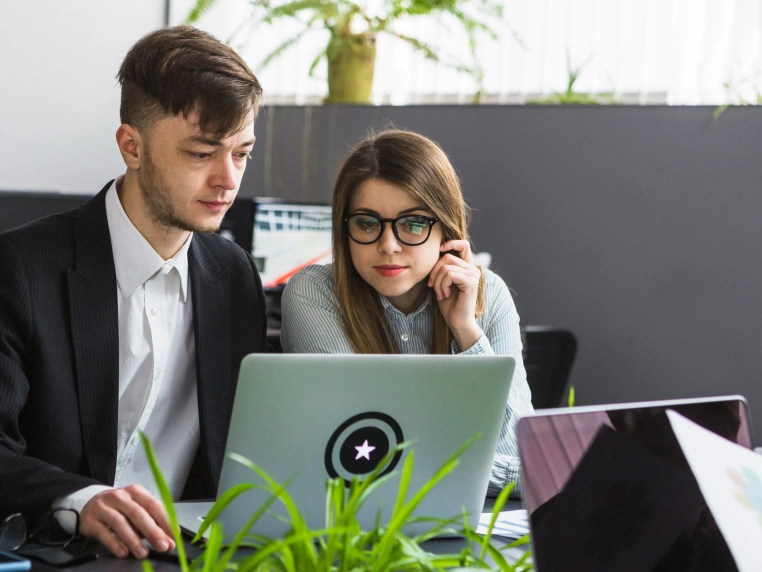 SEO Services Consultants